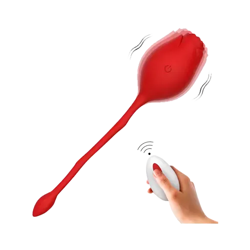 Juguetes sexuales control remoto