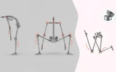 Opciones de esqueleto en muñecas sexuales