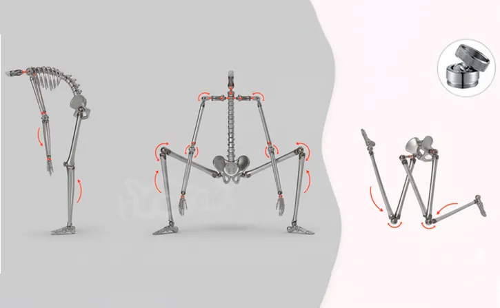 esqueleto muñecas sexuales